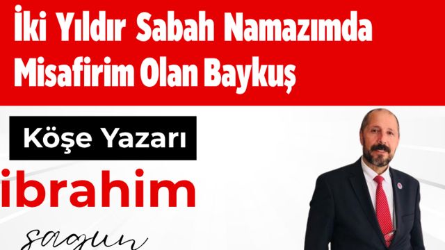 İki Yıldır Sabah Namazımda Misafirim Olan Baykuş İbrahim Sagun